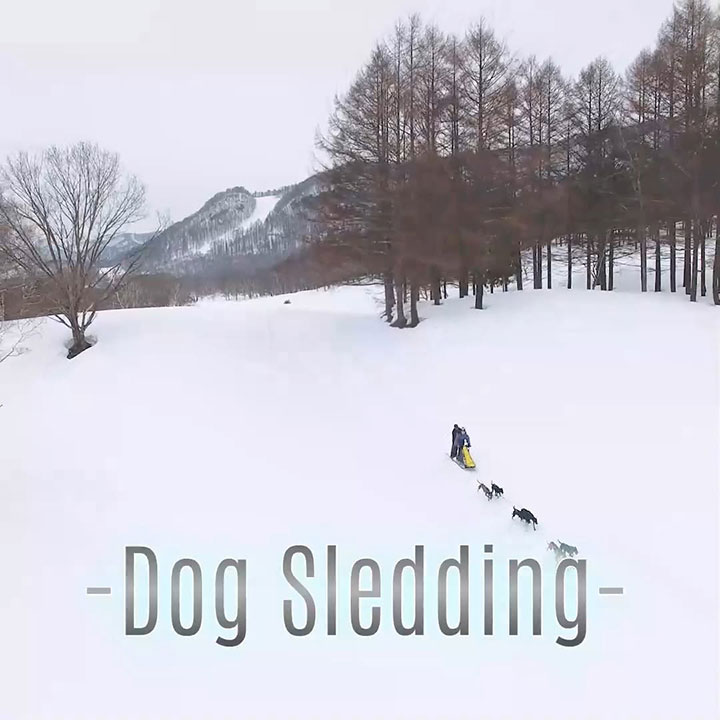 水上高原スキーリゾート 2025年12月19日OPEN!